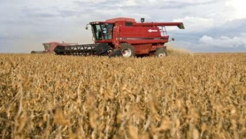 巴西今年穀物產量預計將創新高